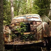 Amerikāņu auto kapsēta dziļi Zviedrijas mežos – vieta, kur tavus kliedzienus nedzirdēs