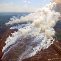 Крупный лесной пожар в Олайнском крае тушат с помощью вертолета Ми-17