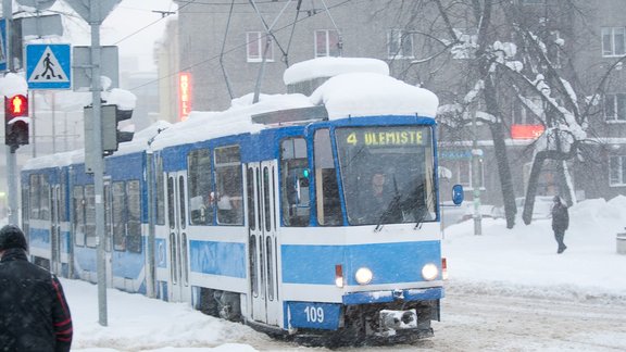 Tallinā turpinās sniegputenis - 16