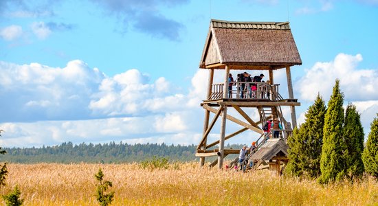 Ķemeru Nacionālā parka Ceļotāju dienas: Vēro putnus, klausies dabas skaņas un izkrāso purvu