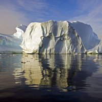 В Гренландии образовался гигантский айсберг