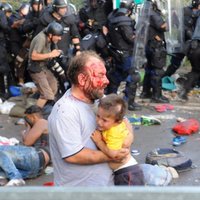 Совет Европы обвинил полицию Венгрии в жестоком обращении с мигрантами