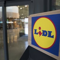 Названы сроки открытия магазинов Lidl в Латвии (+фото с места строительства логистического центра)