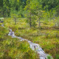 Latvijas dabas takas iekļautas 'Lonely Planet' nākamā gada ceļvedī