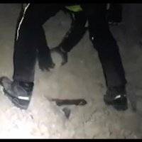 Aizkustinošs video: Pēc zemestrīces Itālijā glābēji atrod drupās iesprūdušu sunīti