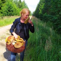 Sēņu safari Madonā jeb Kā atrast lielāko baraviku mūžā