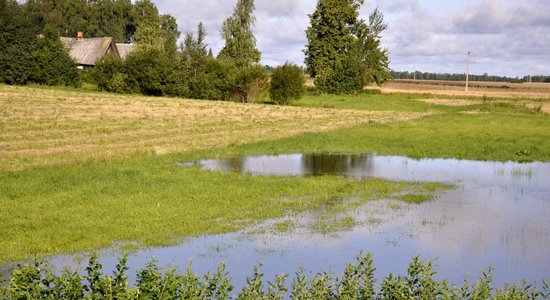 "Dzirdējām, kad uzsprāga" – aculiecinieki medijiem par nokritušā Krievijas drona neitralizēšanu