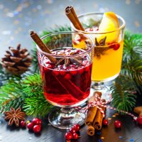Ziemassvētki bez alkohola sekmētu integrāciju, spriež norvēģu eksperts
