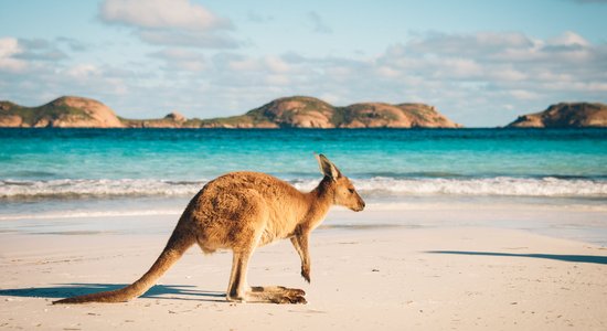 Austrālijas valdība piedāvā vietējiem tūristiem lidojumus par puscenu