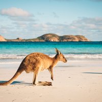Austrālijas valdība piedāvā vietējiem tūristiem lidojumus par puscenu