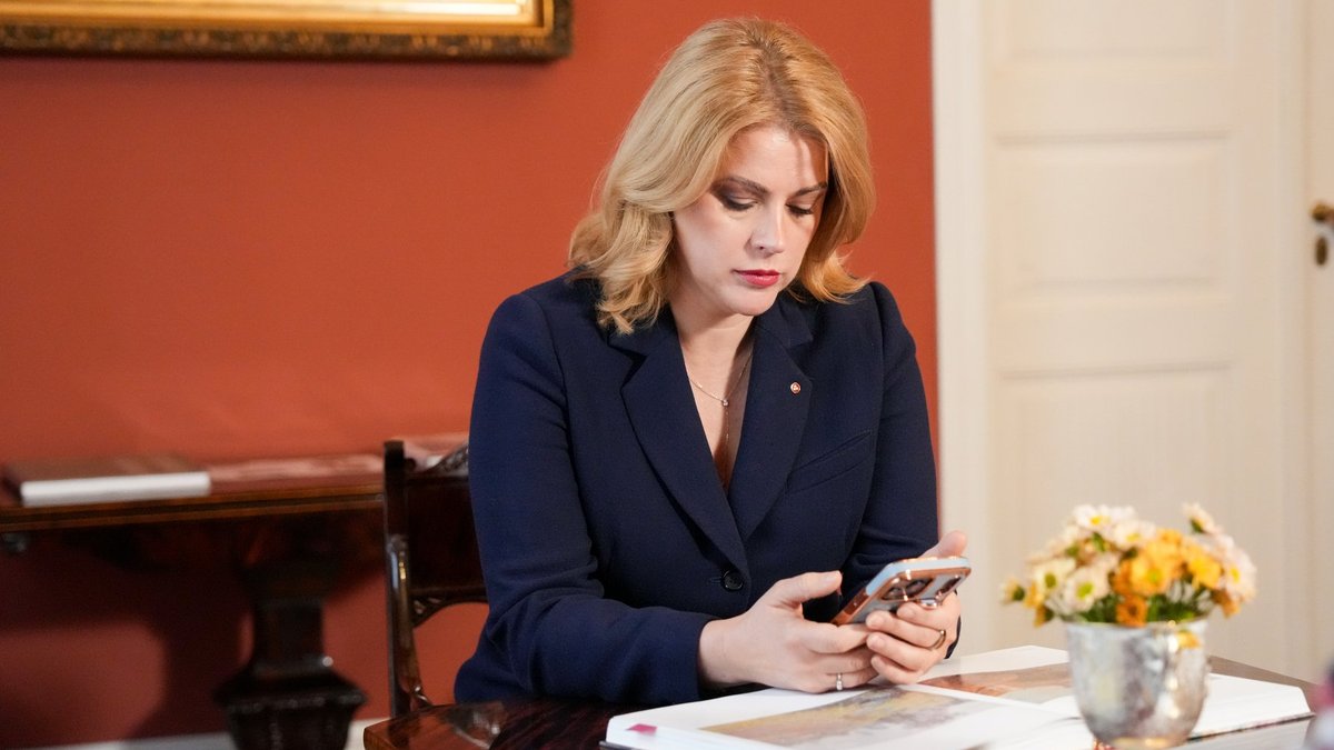 cluster (priority): Delfi Siliņa’s Commitment to National Service