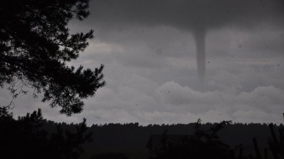 Tornado Ziemeļvidzemē - 3