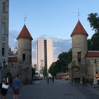 Таллин отказал в визе дипломату из РФ в ответ на высылку эстонского дипломата