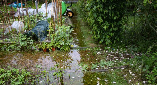 Palīgā, pagalms applūdis! Būtiskākais par meliorācijas grāvjiem un to uzturēšanu