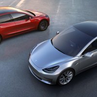 Илон Маск рассказал о возможной "гибели" Tesla из-за выпуска дешёвых Model 3