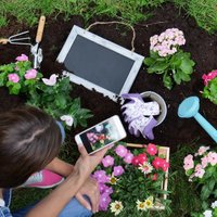 10 mobilās lietotnes, kas noderēs dārza darbos