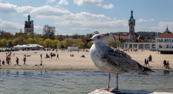 Лучший пляжный отдых на Балтике: The Guardian выбрал куда поехать этим летом (и без Юрмалы дело не обошлось)