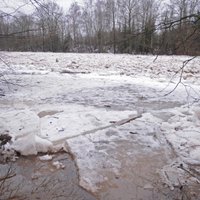 Уровень воды в реках поднимается на метр в сутки, велик риск наводнения