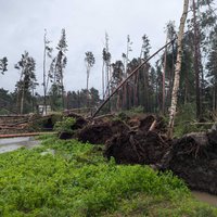 "Придется использовать абсолютно все возможности". Силиня хочет привлечь финансирование ЕС для поддержки пострадавших от урагана самоуправлений