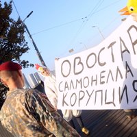 ФОТО: мужчины в костюмах цыплят протестуют против украинских яиц с сальмонеллой и ждут Зеленского