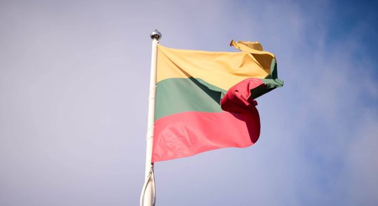 На референдуме о разрешении двойного гражданства в Литве не удалось собрать достаточно голосов