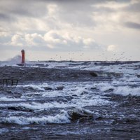 Stiprā vēja dēļ Rīgā izsludina augstākās pakāpes – sarkano – brīdinājumu