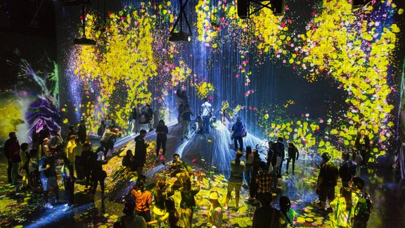 TeamLab Borderless