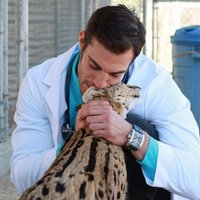 ФОТО: Сексуальный ветеринар стал новой интернет-сенсацией