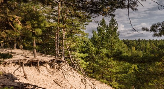 Teika par Latvijā augstāko kāpu – Pūsēnu kalnu, kas nav tikai teika?