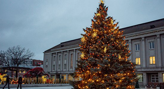 ФОТО. Как выглядят рождественские елки в Эстонии?