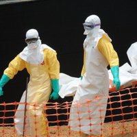 Эксперты не исключают распространение вируса Эбола в Европе