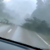 Video: Negaisā Latgalē autovadītāja acu priekšā gāžas koki uz ceļa