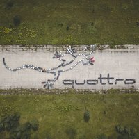 ФОТО, ВИДЕО: Огромная ящерица на Рубмуле - фанаты "выложили" из машин логотип Audi quattro