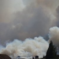 ФОТО: Уже три дня не удается остановить лесной пожар в Талсинском крае