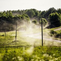 'Sadales tīkls' ar ES atbalstu būvēs un atjaunos elektrolīnijas 75 km garumā