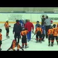 ВИДЕО: Вместо рукопожатия хоккеисты Украины и Беларуси устроили массовую драку