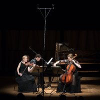 Koncertzālei 'Cēsis' būs savs rezidences ansamblis – 'Trio Palladio'