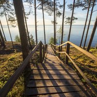 Быстро погулять и домой: Топ-6 коротких, но очень красивых природных троп в Латвии