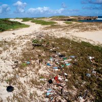 Ученые: люди на тысячелетия загрязнили природу пластиком
