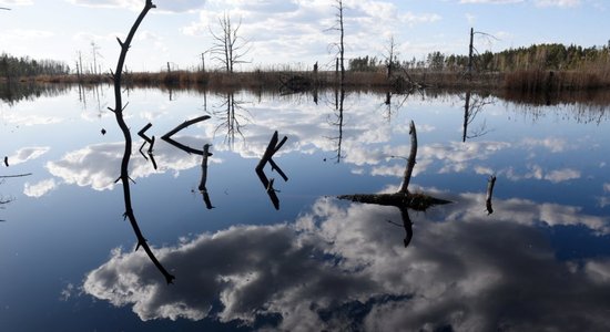 Под Прейли мужчина заблудился на болоте: его спасли сотрудники VUGD