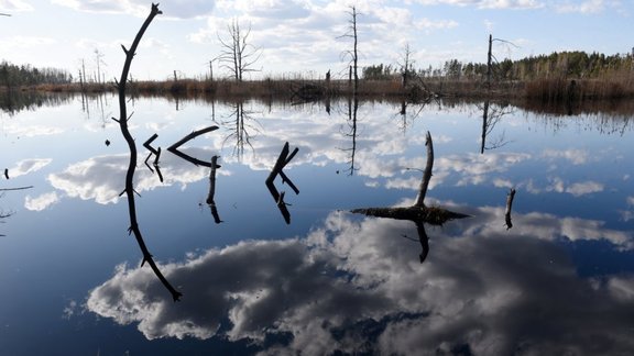 ainava,atspulgs,mākoņi,pavasaris,ūdens,aprīlis,Ķemeru tīrelis,purvs