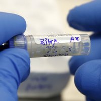 Zinātnieki: Zikas vīrusa inficēšanās risks Olimpiādes laikā būs niecīgs