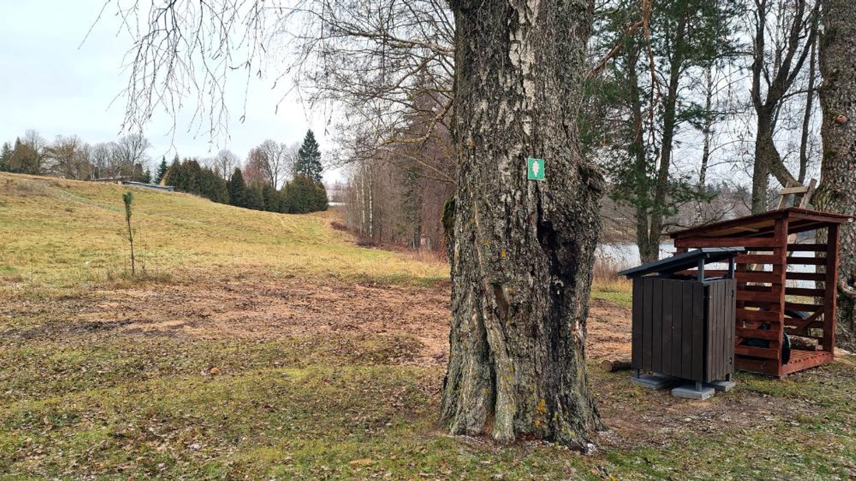 Video: Jēkabpils novadā neatļautā vietā izbūvē tualeti