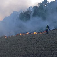 Netālu no Ventspils naftas bāzes izcēlušies vairāki meža ugunsgrēki