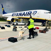 СМИ узнали об отъезде из Белоруссии посадившего Ryanair диспетчера
