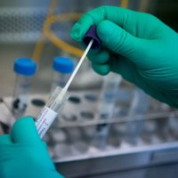 В Британии ученые предлагают заразить добровольцев для разработки вакцины от коронавируса