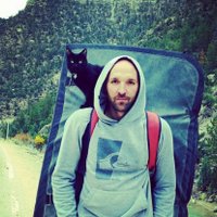 ФОТО: Еж-путешественник и кошка-альпинист призывают к активной жизни