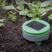 ВИДЕО: До чего дошел прогресс – "робот-пылесос" для вашего огорода