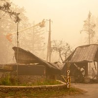 Bojāgājušo skaits savvaļas ugunsgrēkos ASV rietumos sasniedzis 33