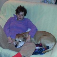 В Испании у больной Эболой медсестры усыпили собаку
